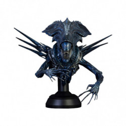 Aliens vs Predator Bust...