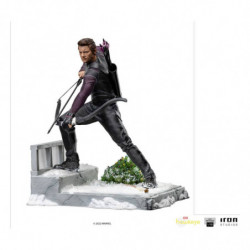 Hawkeye BDS Art Scale...