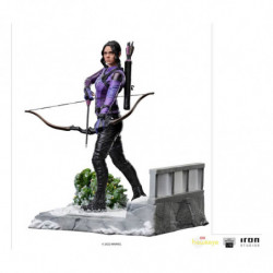 Hawkeye BDS Art Scale...