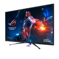 Asus Monitor Desktop PG43UQ